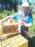 Včelař - zpracovatel včelích produktů produktů
